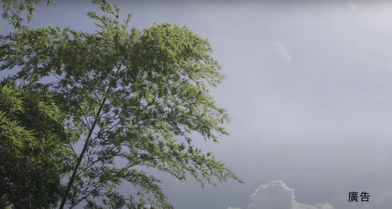 山坡上的世外桃源 / Wonderland - 陽明山平等里「梅居休閒農場」